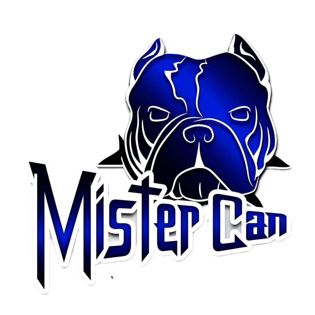 whatsapp image 2025 09 20 at 23.09.42 fotor bg remover 2025092023244