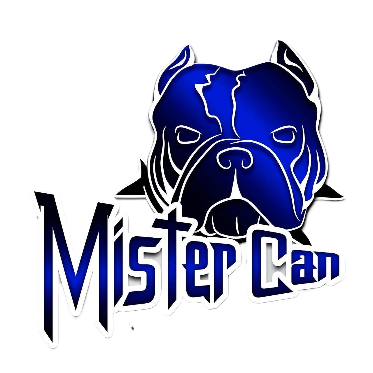 whatsapp image 2025 09 20 at 23.09.42 fotor bg remover 2025092023244