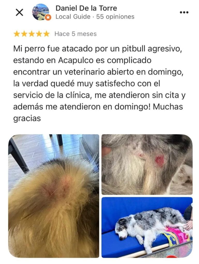 whatsapp image 2025 09 23 at 16.55.29 (1)