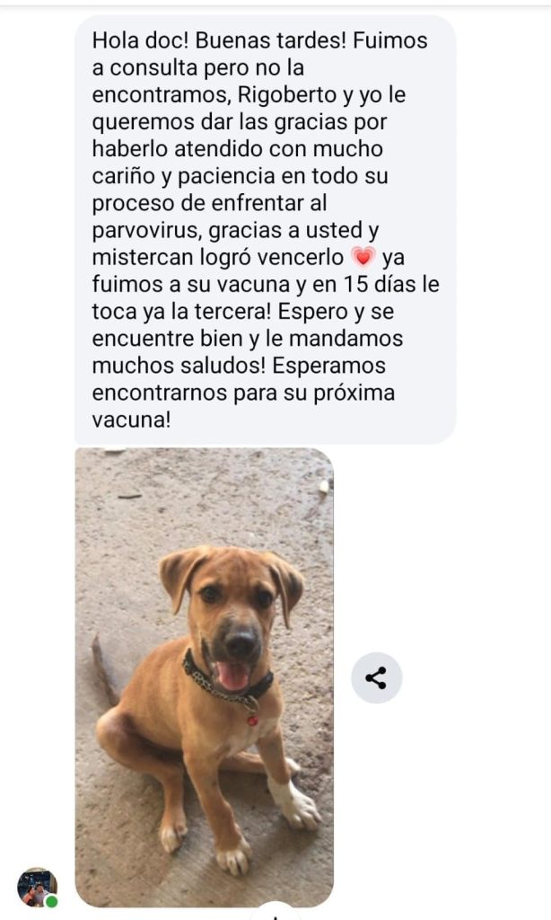 whatsapp image 2025 09 23 at 17.06.29 (1) (1)