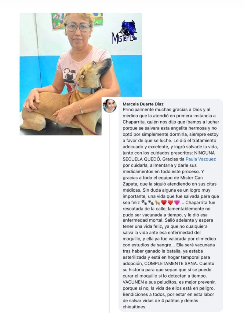 whatsapp image 2025 09 24 at 10.30.13 (1)