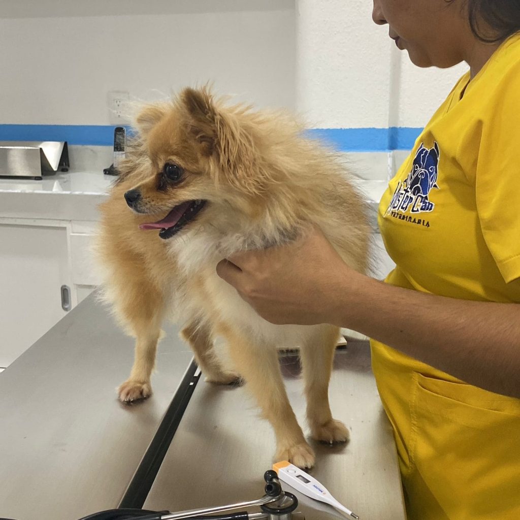 whatsapp image 2025 10 02 at 22.50.16 (2) (1)