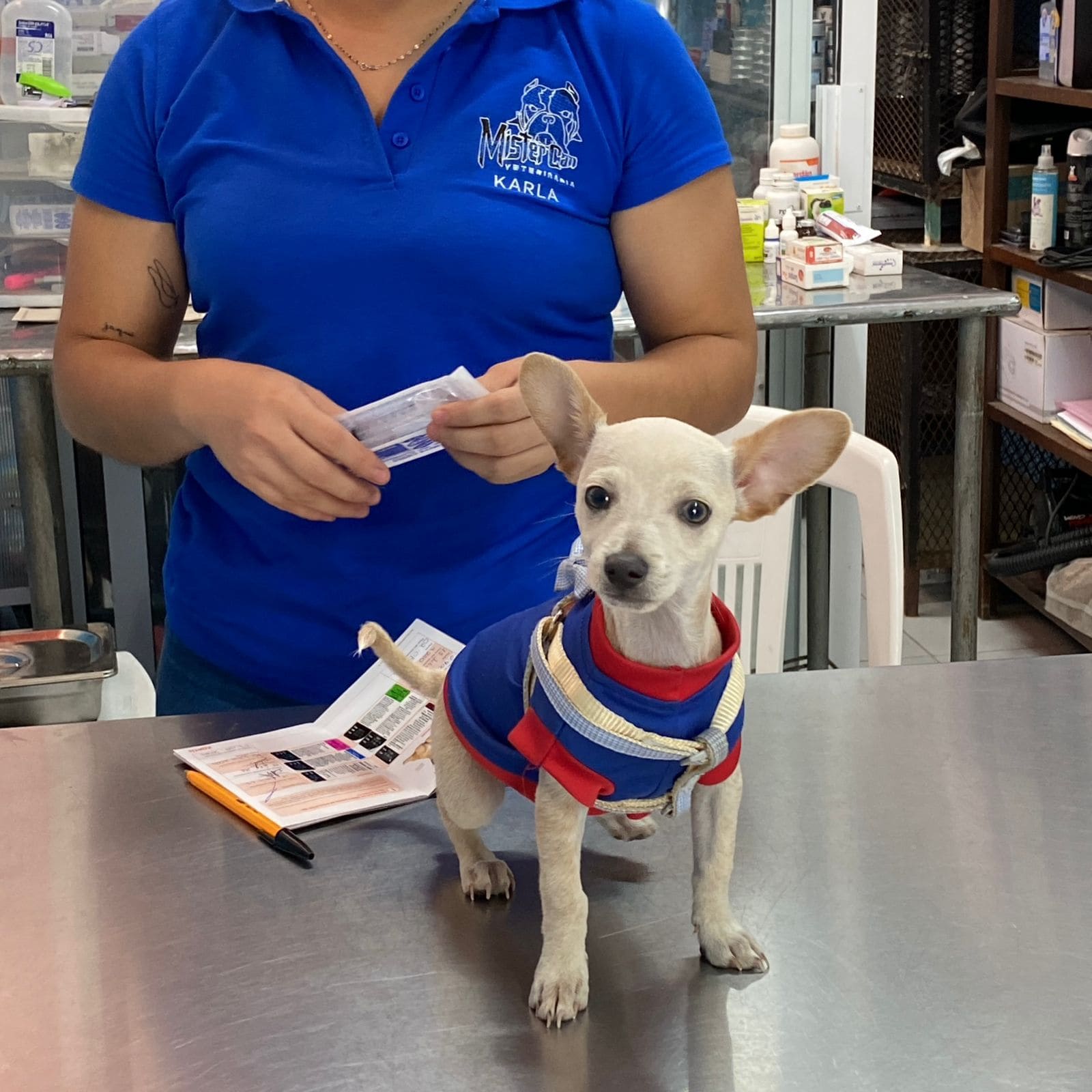 whatsapp image 2025 10 02 at 22.50.16 (3) (1)