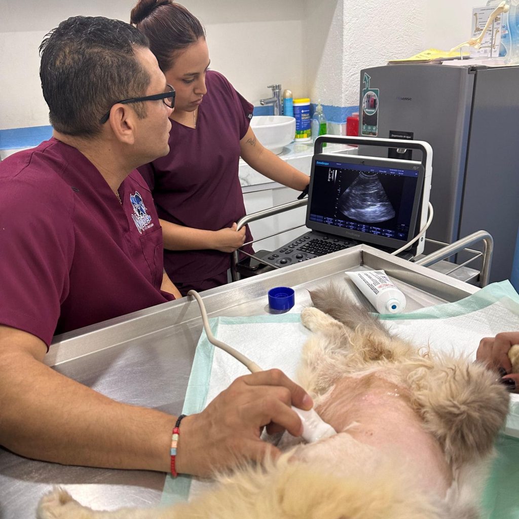 whatsapp image 2025 10 02 at 22.52.22 (1)