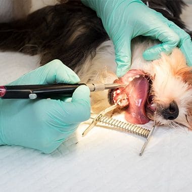 whatsapp image 2025 10 02 at 22.52.23 (1) (1)