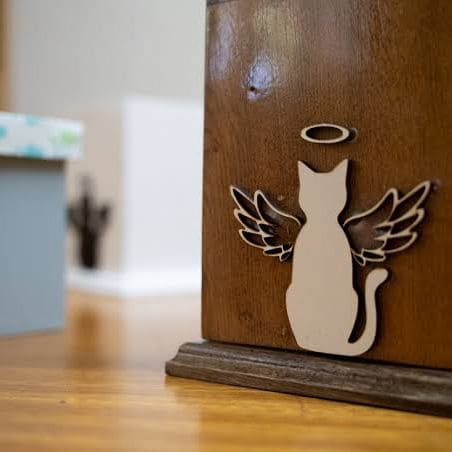 whatsapp image 2025 10 02 at 22.52.23 (2)