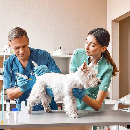 whatsapp image 2025 10 02 at 22.58.16 (2)