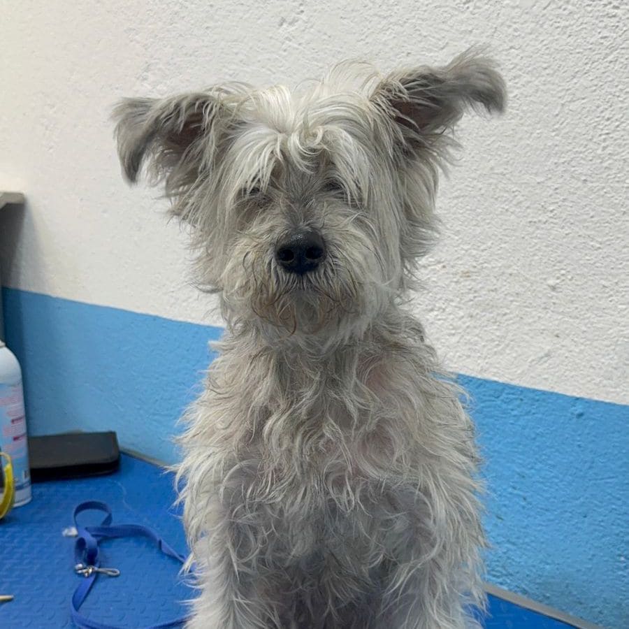 whatsapp image 2025 10 02 at 23.18.24 (1) (1)