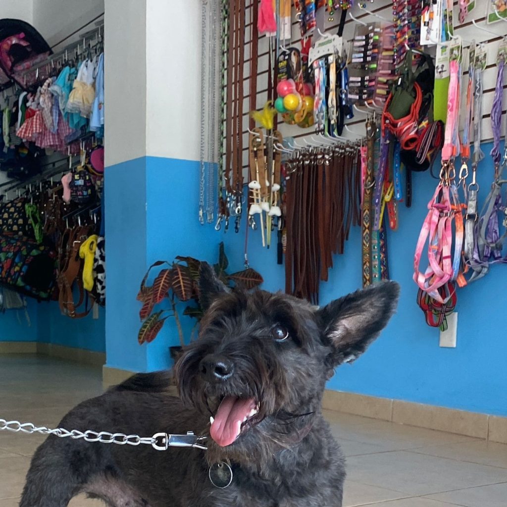 whatsapp image 2025 10 02 at 23.18.25 (1) (1)