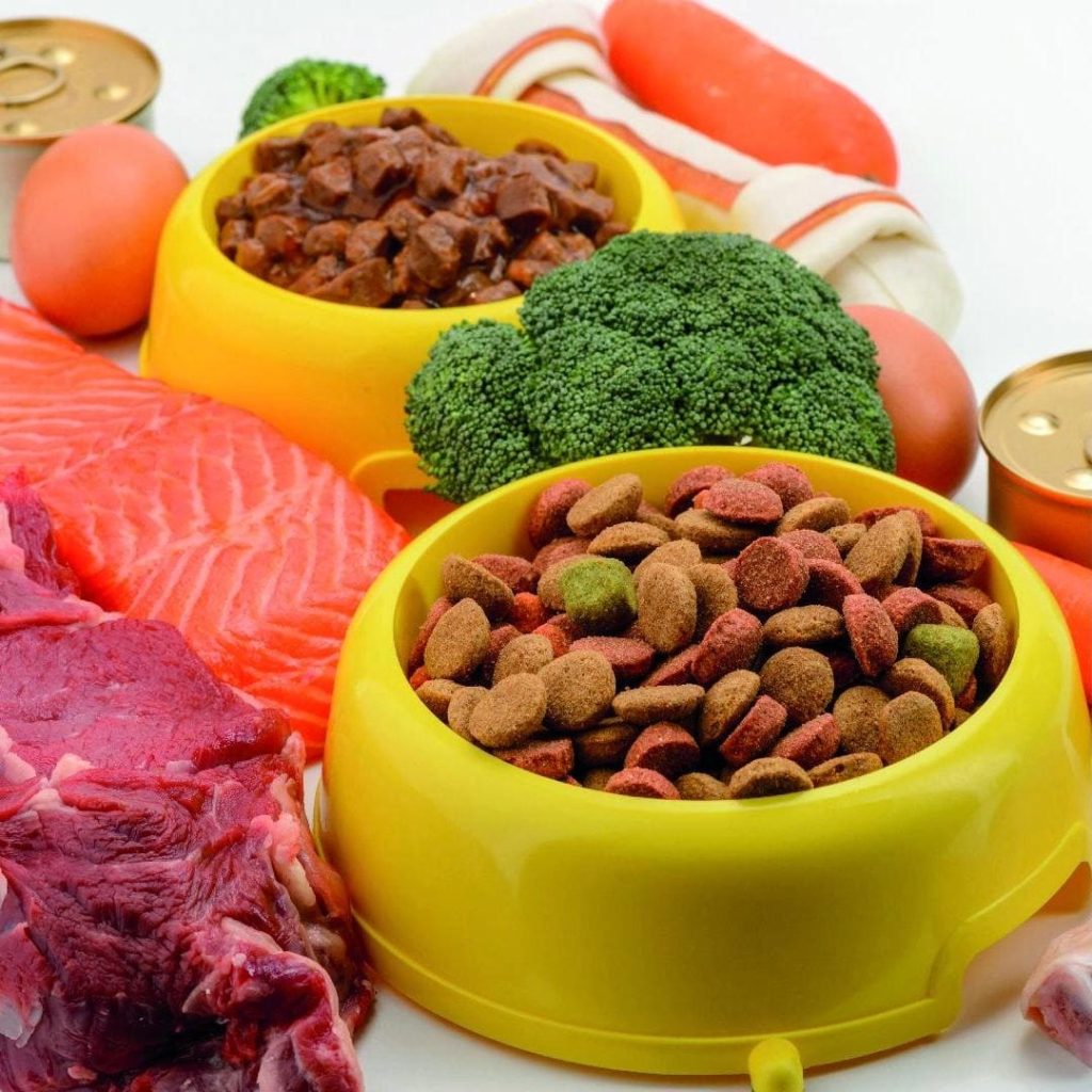 whatsapp image 2025 10 02 at 23.55.55 (1)